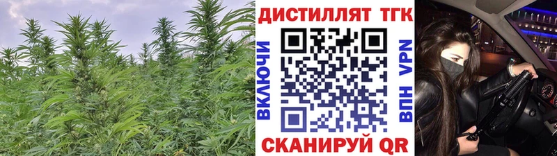 что такое   Рошаль  ТГК Wax 