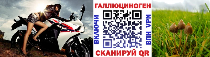 где купить наркоту  Рошаль  Галлюциногенные грибы мицелий 